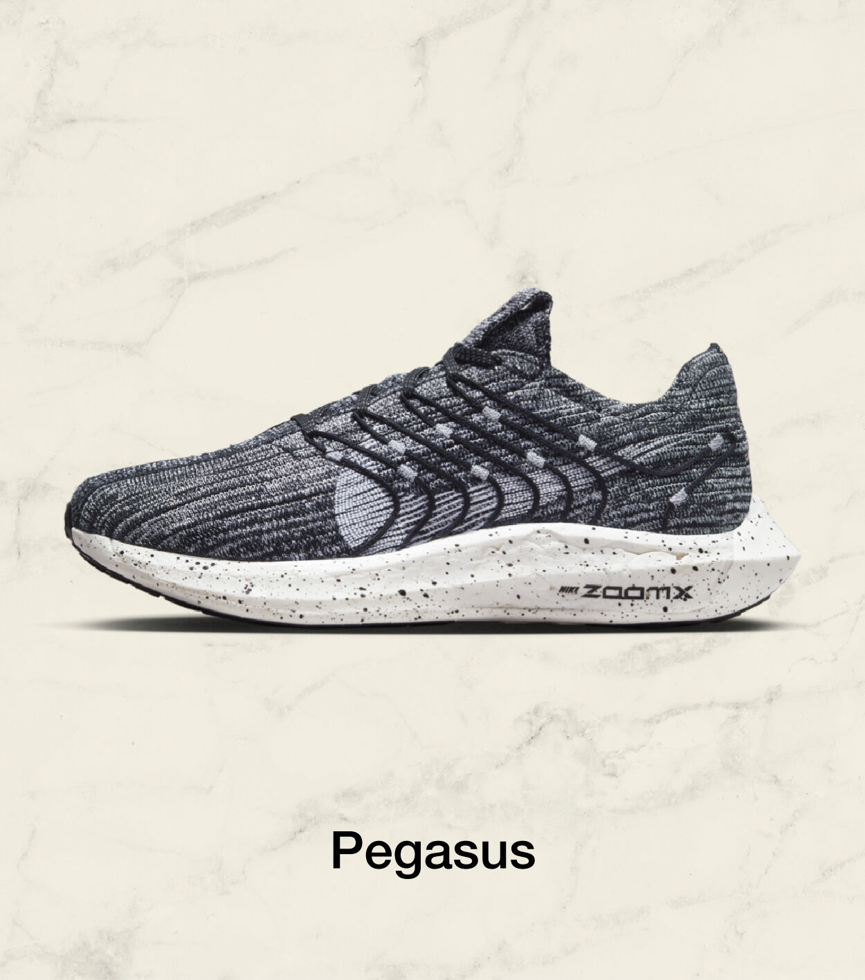 Pegasus Nike
