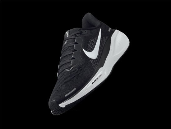 Nike Pegasus