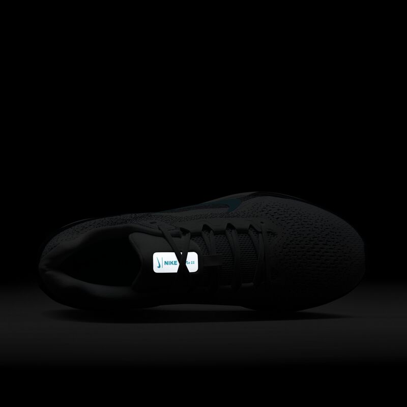 Nike Winflo 11, Platino Puro/Cactus Polvoriento: Azul Marino Armory, hi-res