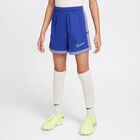 Nike Academy, Noche Intenso/Amatista Empolvado/Voltioio Ligero, hi-res