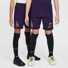 Kylian Mbappé Academy, Morado Grandioso/Morado Grandioso/Azul Vacío/Oro Metalizado, hi-res