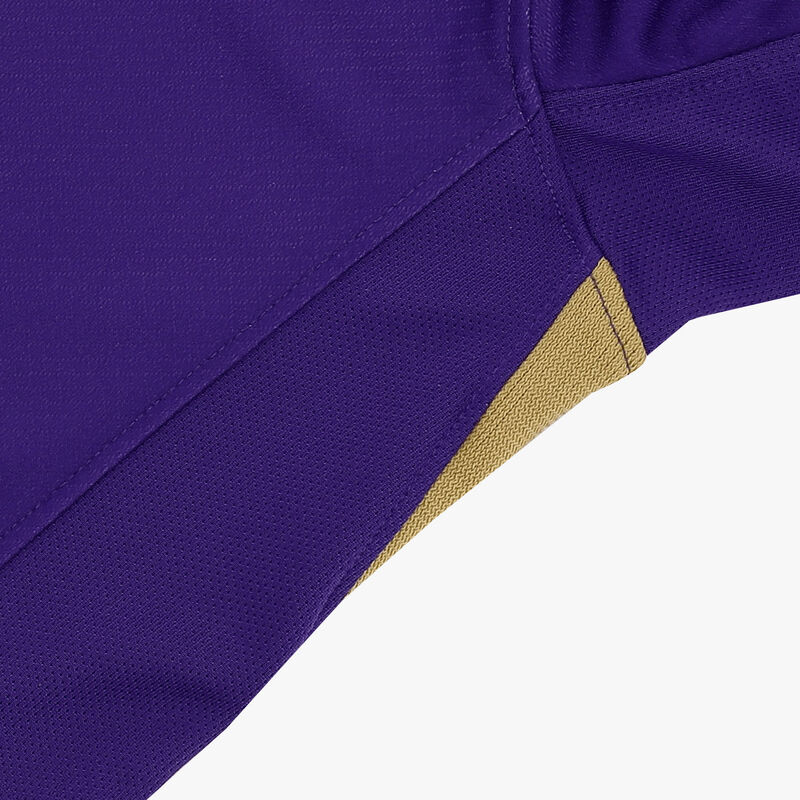 Nike Camiseta Morada Alianza Lima 2025, Morado/Dorado, hi-res