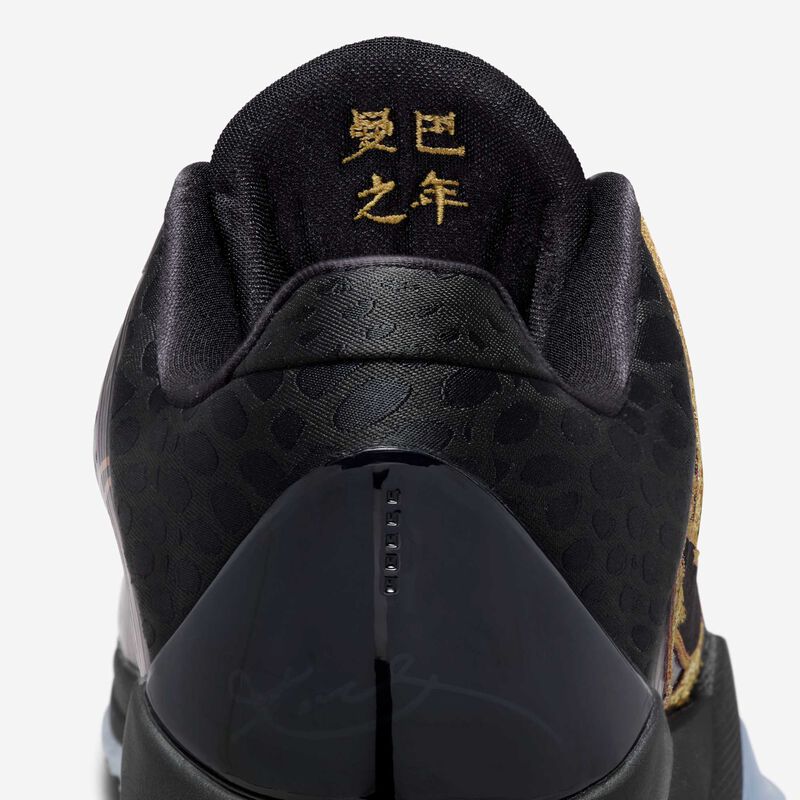 Kobe V Protro, Berenjena/Oro Metalizado/Negro, hi-res