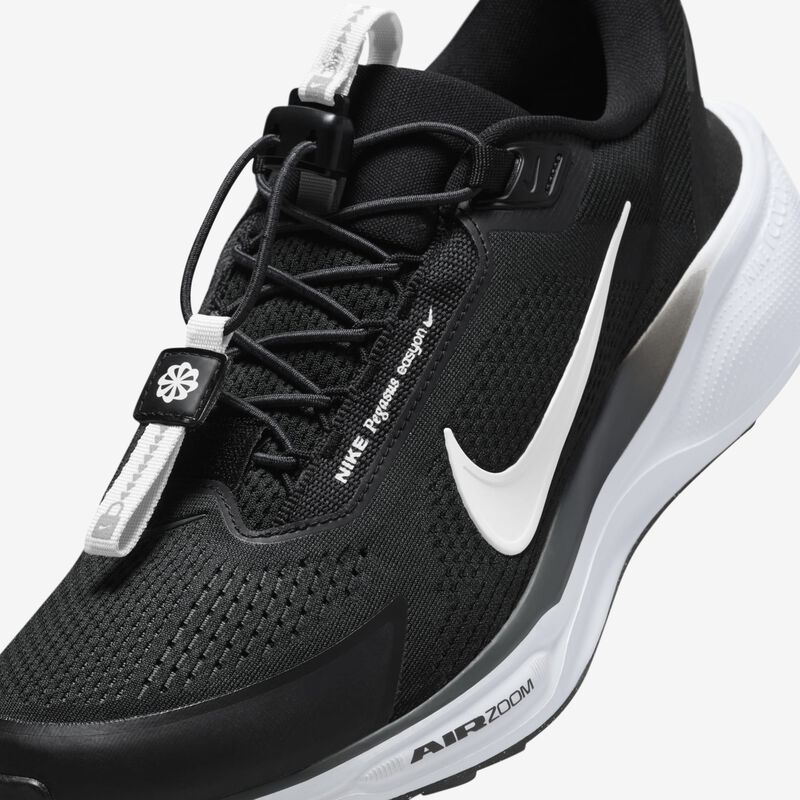 Nike Pegasus EasyOn, Negro/Antracita/Polvo De Fotones/Blanco, hi-res
