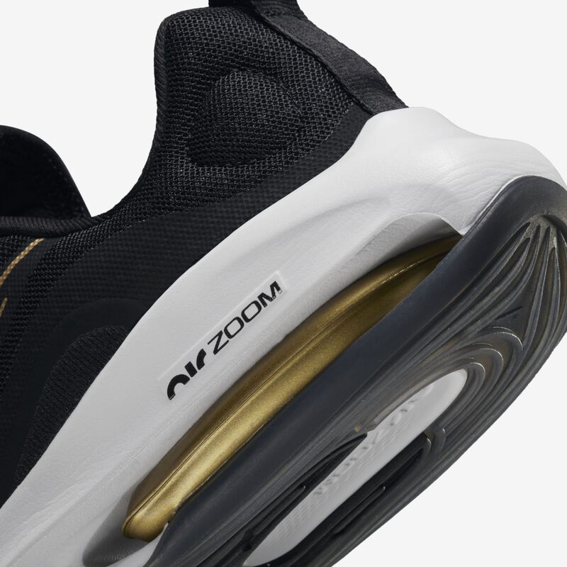 Nike Air Zoom Arcadia 2, Negro/Oro Metálico-Gris Lobo-Blanco, hi-res