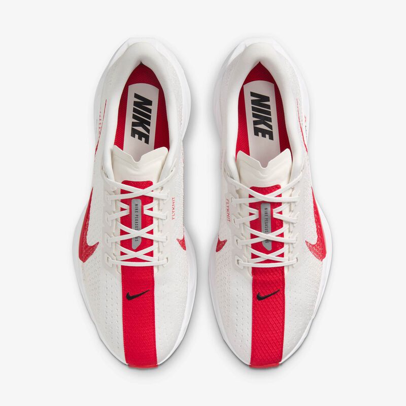 Nike Pegasus Plus, Tinte Platino/Fantasma/Negro/Rojo Universitario, hi-res