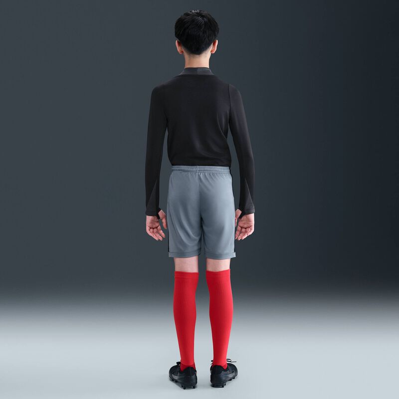 Nike Academy, Gris Frío/Negro/Carmesí Brillante, hi-res