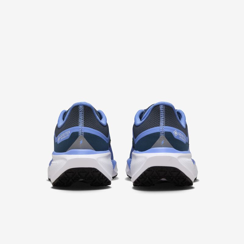 Nike Pegasus 41 GORE-TEX, Dicha De Cobalto/Armada Marina/Pulso Real/Rojo Metálico Bronce, hi-res