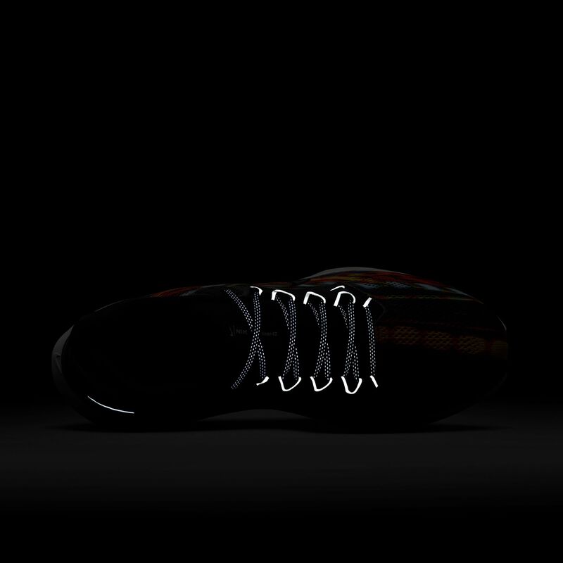Nike Pegasus 41, Multicolor/Negro-Claro Humo Gris-Vela, hi-res