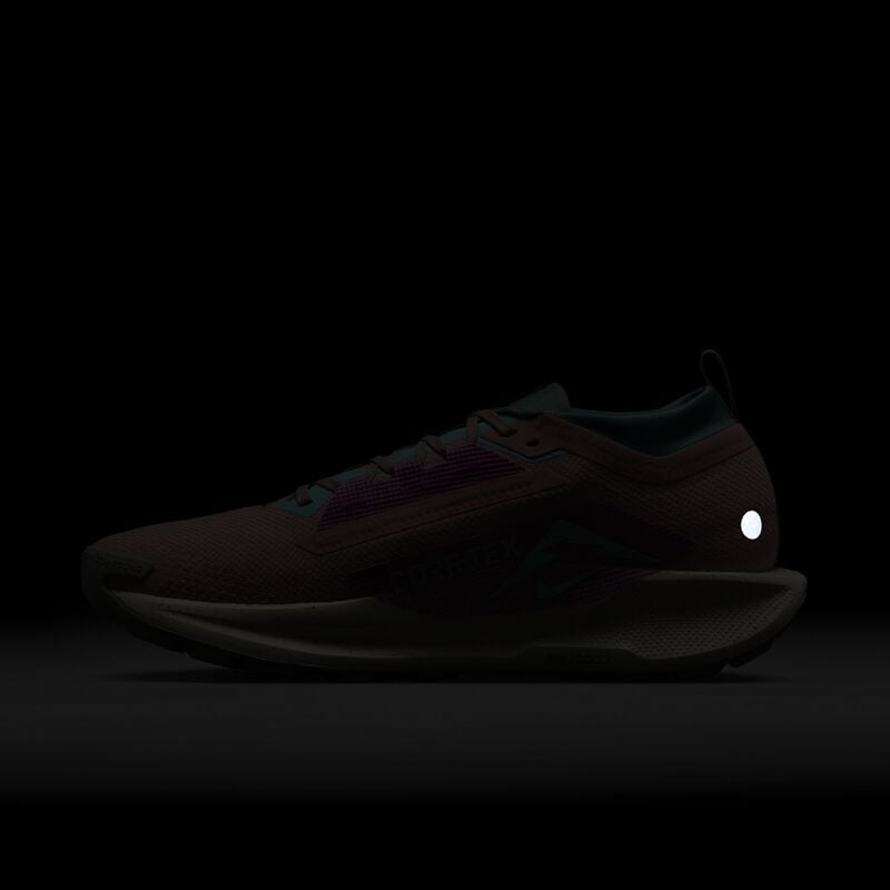 Nike Pegasus Trail 5 GORE-TEX, Red Stardust/Bicoastal/Vivid Grape/Green Frost, hi-res