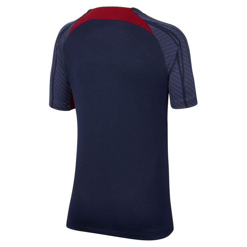 Paris Saint-Germain Strike, Azul oscuro/Azul oscuro/Equipo Rojo/Ante dorado, hi-res