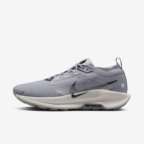 Nike Pegasus Trail 5 GORE-TEX