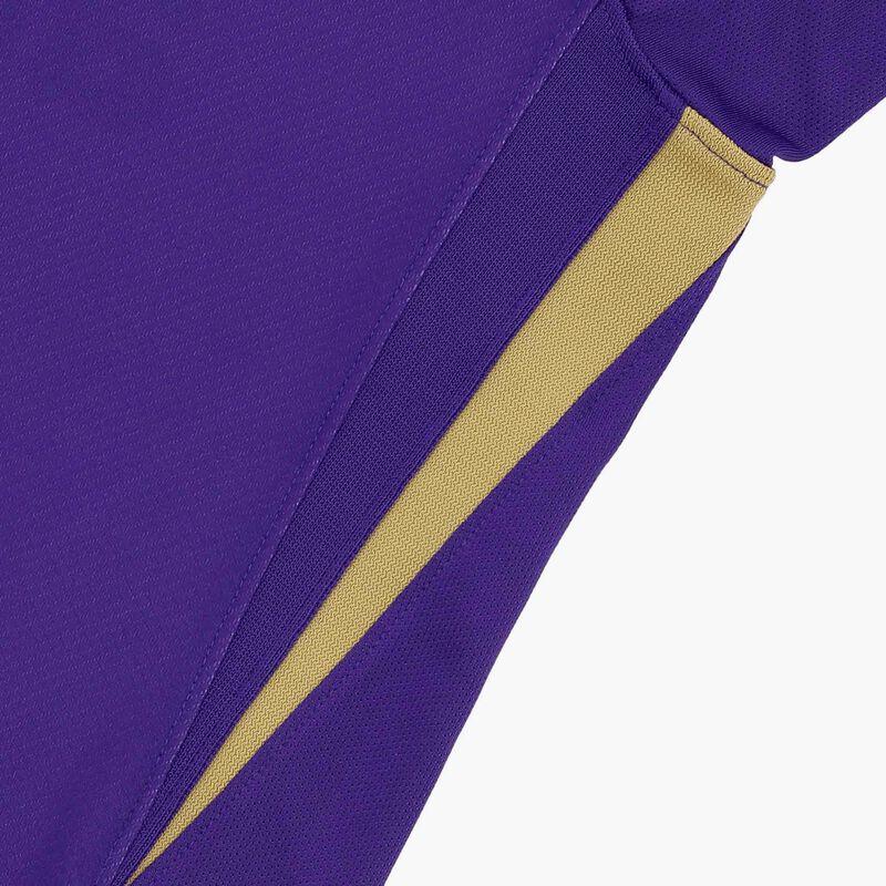 Nike Camiseta Morada Alianza Lima 2025, Morado/Dorado, hi-res