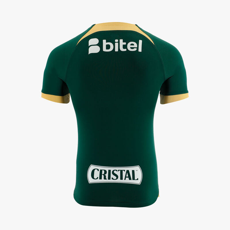 Nike Camiseta Alianza Lima 2024 Visita Estampada, Verde/Dorado, hi-res