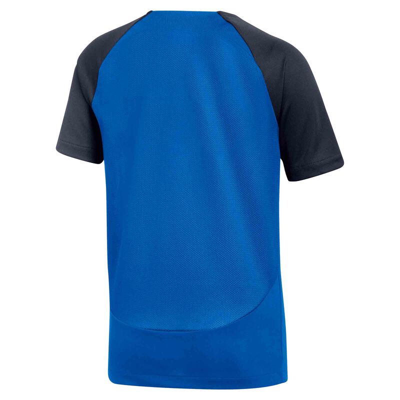 Nike Dri-FIT Academy Pro, AZUL, hi-res