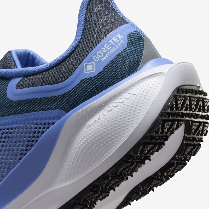 Nike Pegasus 41 GORE-TEX, Dicha De Cobalto/Armada Marina/Pulso Real/Rojo Metálico Bronce, hi-res