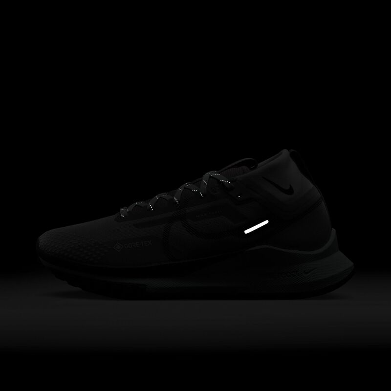 Nike Pegasus Trail 4 GORE-TEX, Gris Ahumado Claro/Azul Glaciar/Gris Fútbol/Negro, hi-res