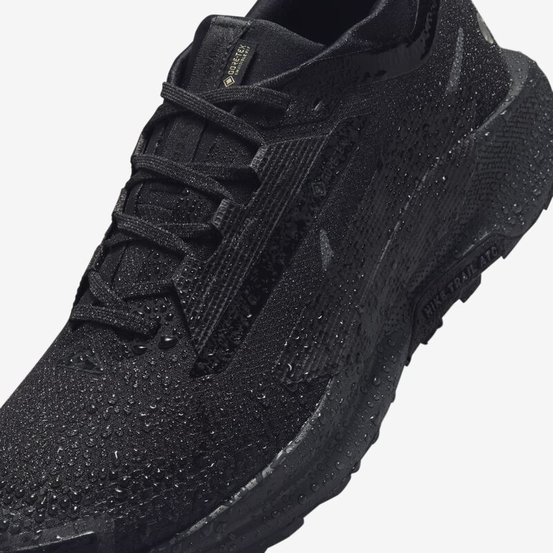 Nike Pegasus Trail 5 GORE-TEX, Negro/Negro-Antracita, hi-res