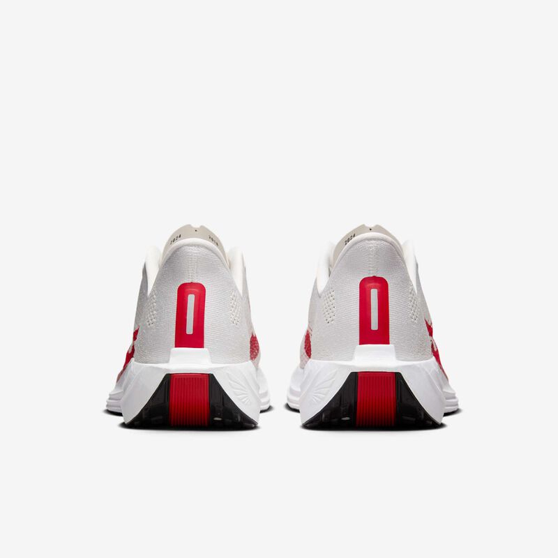 Nike Pegasus Plus, Tinte Platino/Fantasma/Negro/Rojo Universitario, hi-res