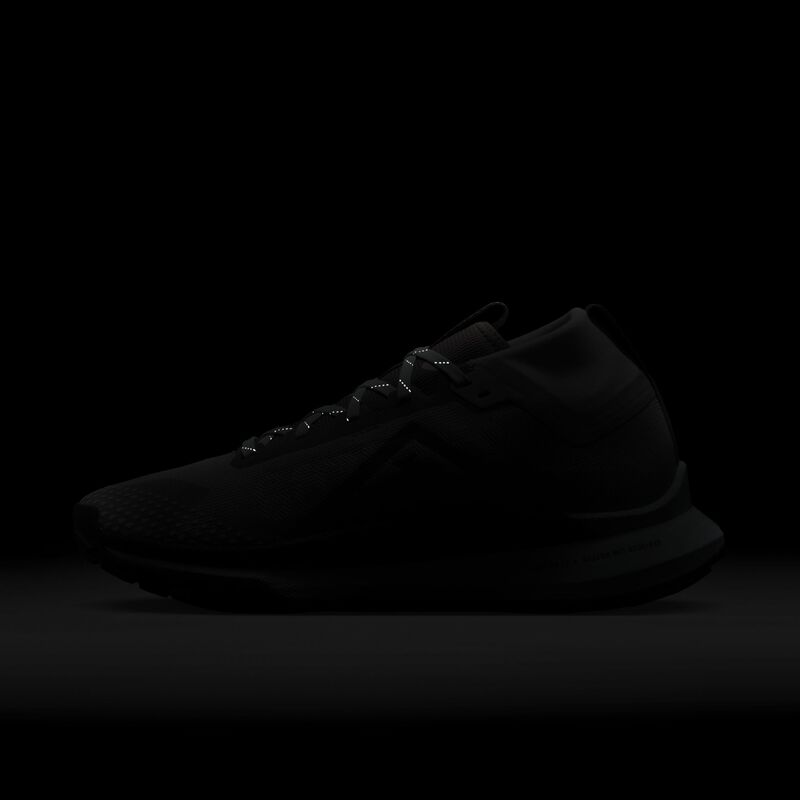 Nike Pegasus Trail 4 GORE-TEX, Gris Ahumado Claro/Azul Glaciar/Gris Fútbol/Negro, hi-res