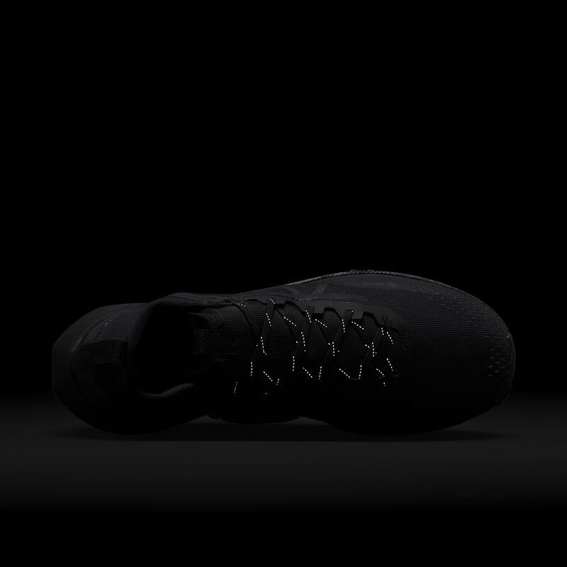 Nike Pegasus Trail 4 GORE-TEX, Negro/Marrón terciopelo/Antracita, hi-res