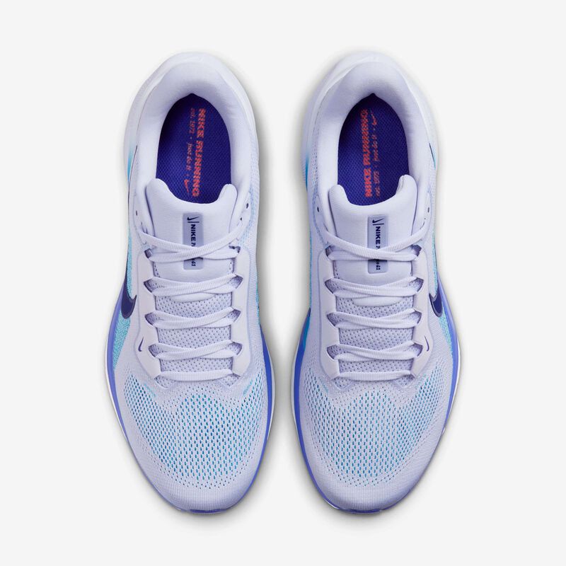 Nike Pegasus 41, Fantasma/Gris Fútbol/Noche Intenso/Azul Vacío, hi-res