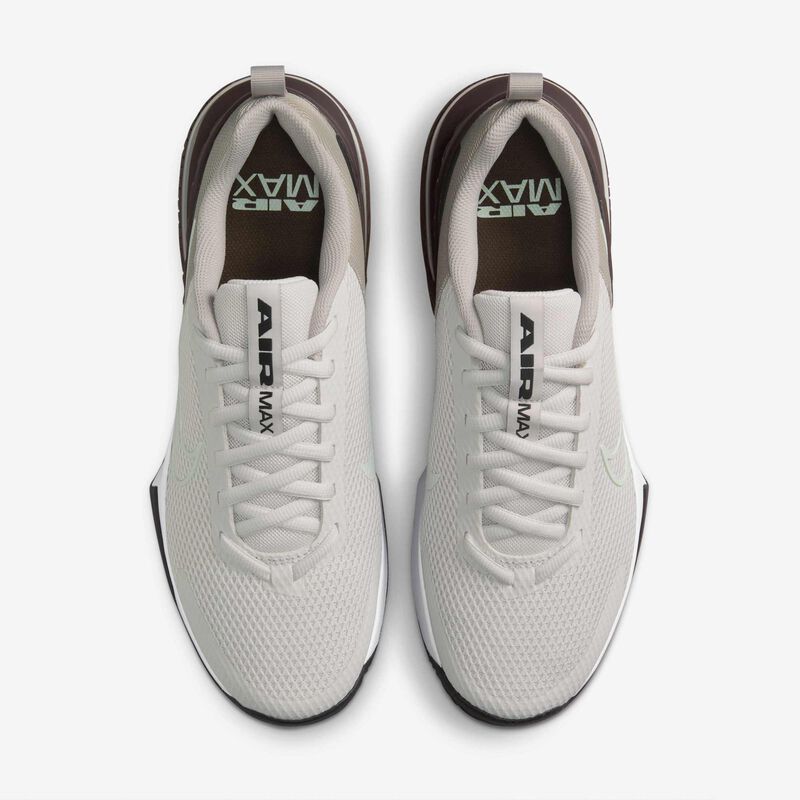Nike Air Max Alpha Trainer 6, Tinte Platino/Gris Universitario/Negro/Verde Ligero, hi-res