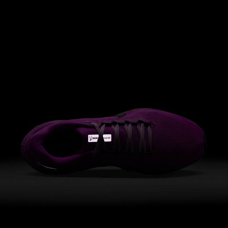 Nike Pegasus 41, Violeta Intenso/Uva Negra Intensa, hi-res