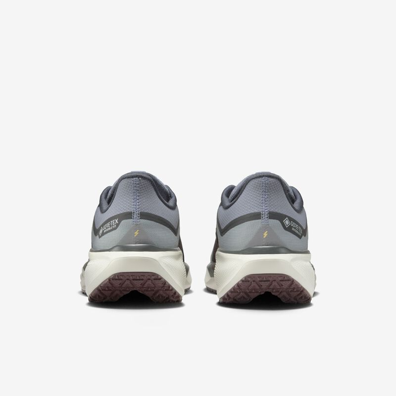Nike Pegasus 41 GORE-TEX, Piedra Pómez Clara/Aplastamiento Burdeos/Gris Humo Oscuro/Pizarra Cenicienta, hi-res