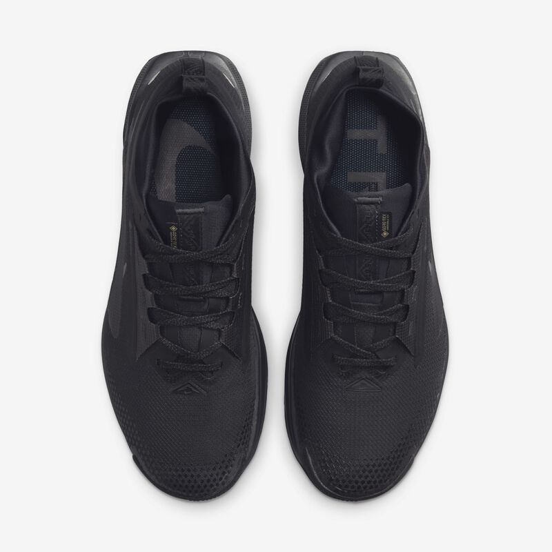 Nike Pegasus Trail 5 GORE-TEX, Negro/Negro-Antracita, hi-res