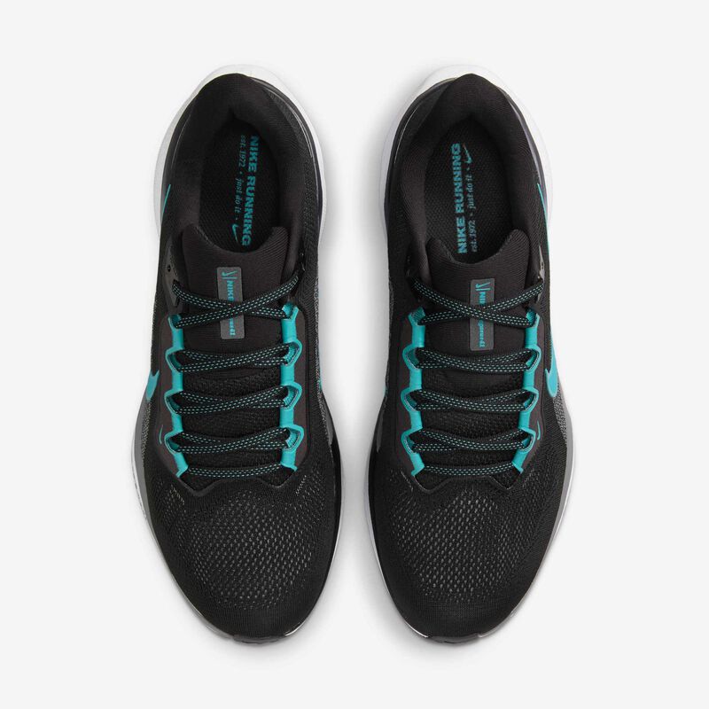 Nike Pegasus 41, Negro/Gris Azulado/Blanco/Cactus Empolvado, hi-res
