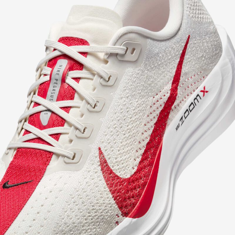Nike Pegasus Plus, Tinte Platino/Fantasma/Negro/Rojo Universitario, hi-res