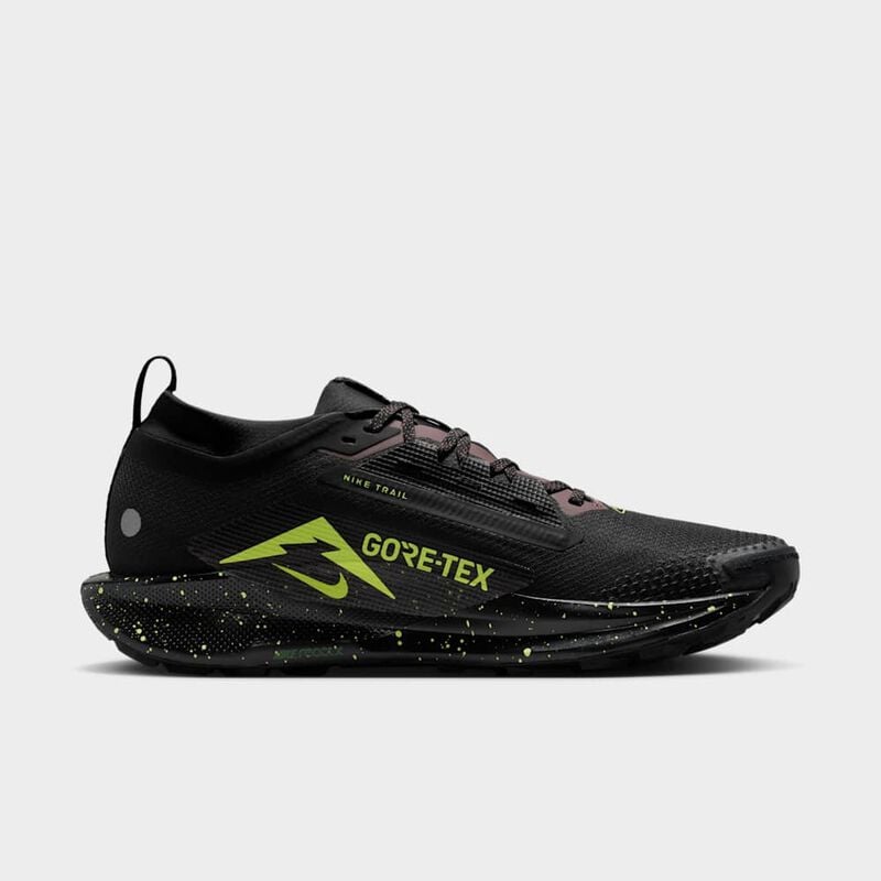 Zapatilla Nike Pegasus Trail&nbsp;5 GORE-TEX, Negro, hi-res