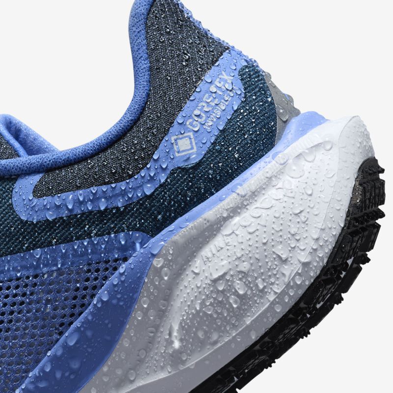 Nike Pegasus 41 GORE-TEX, Dicha De Cobalto/Armada Marina/Pulso Real/Rojo Metálico Bronce, hi-res