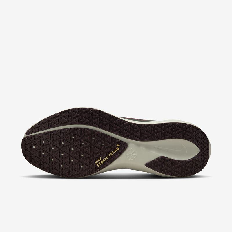 Nike Pegasus 41 GORE-TEX, Piedra Pómez Clara/Aplastamiento Burdeos/Gris Humo Oscuro/Pizarra Cenicienta, hi-res