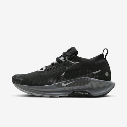 Nike Pegasus Trail 5 GORE-TEX