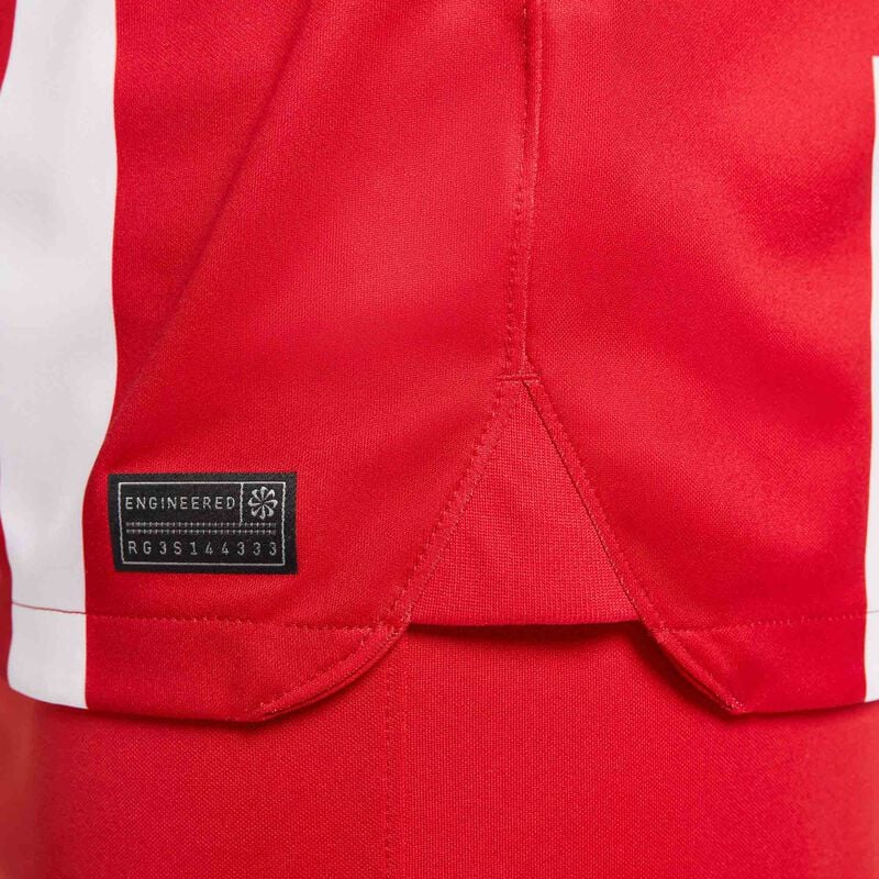 [Ljava.lang.String;@71f1bf42 Nike, Rojo, hi-res