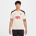 Liverpool FC Strike Special Edition, Leche De Coco/Leche De Coco/Negro/Rojo Gimnasio, hi-res