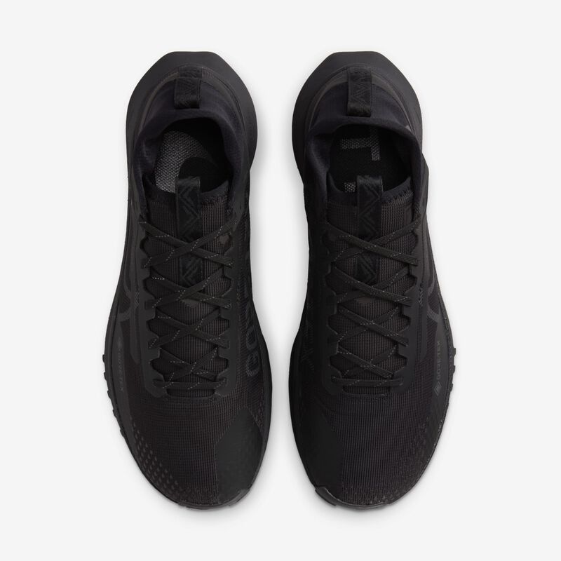 Nike Pegasus Trail 4 GORE-TEX, Negro/Marrón terciopelo/Antracita, hi-res