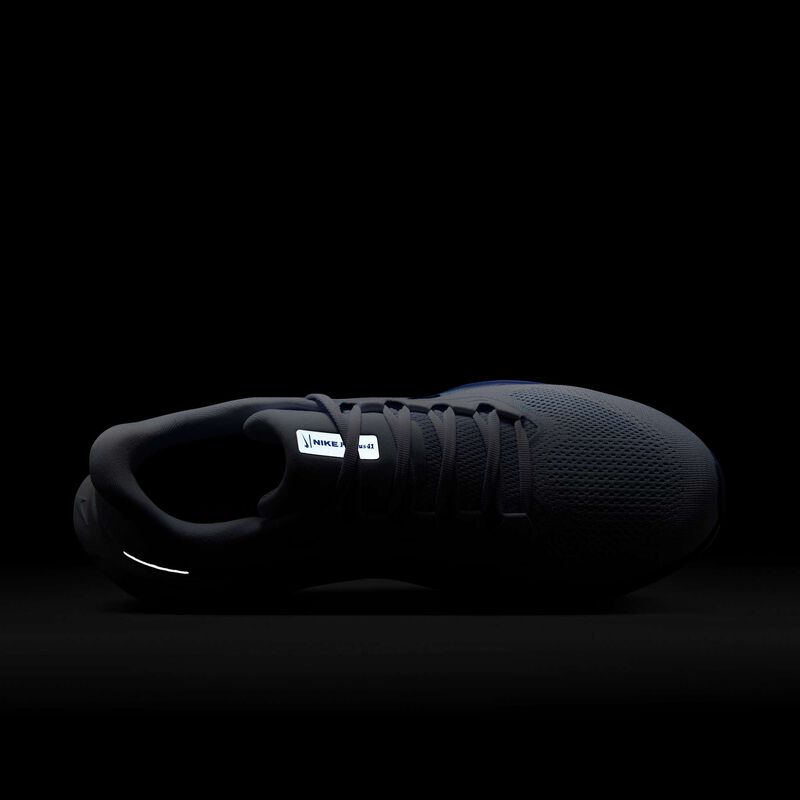 [Ljava.lang.String;@7ec01bac Nike Pegasus, Gris, hi-res