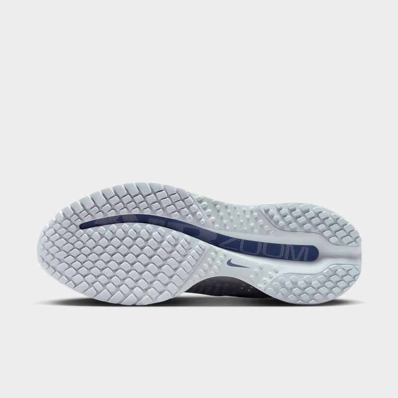 [Ljava.lang.String;@20a61934 Nike Pegasus Premium, Gris, hi-res