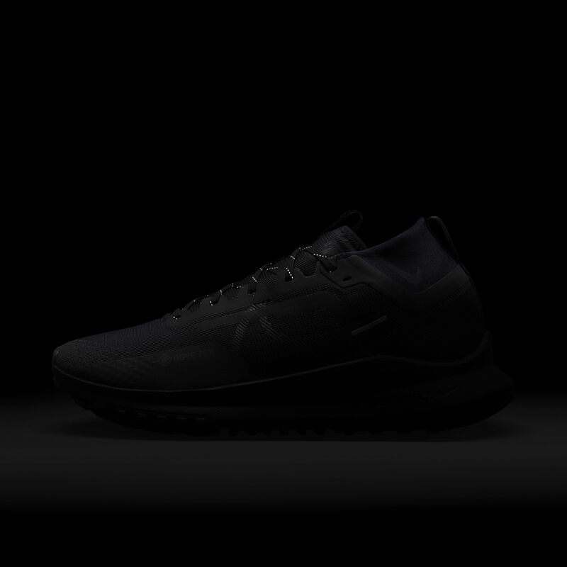 Nike Pegasus Trail 4 GORE-TEX, Negro/Marrón terciopelo/Antracita, hi-res