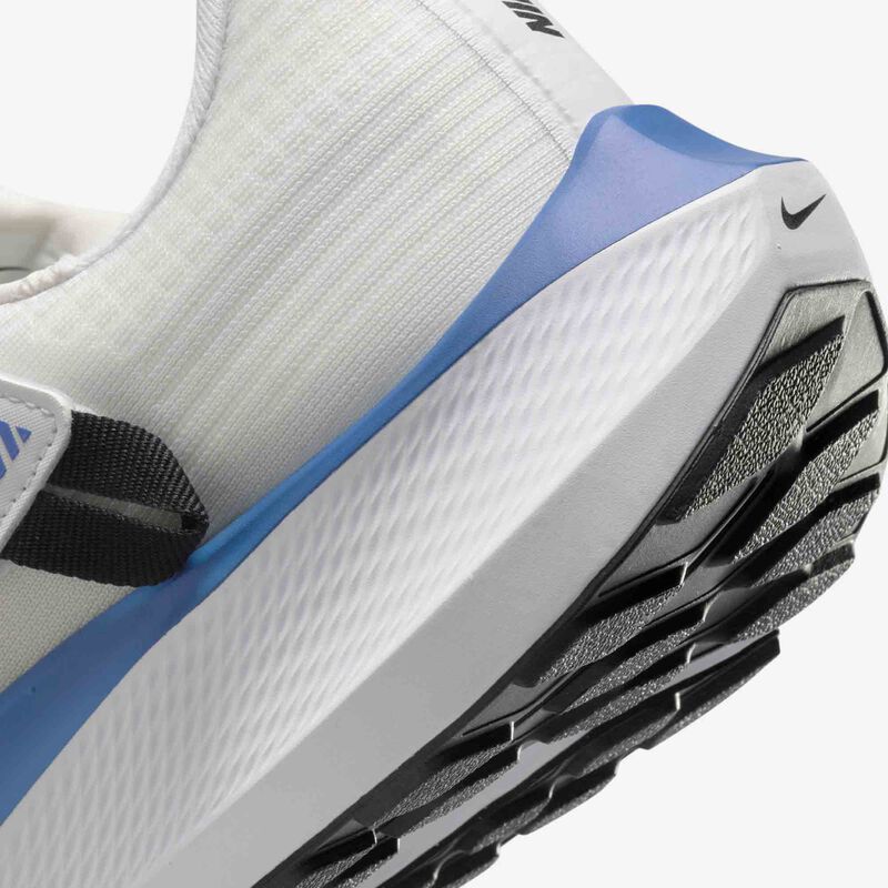 Nike Pegasus FlyEase, Tinte Platino/Blanco/Azul Estrella /Negro, hi-res